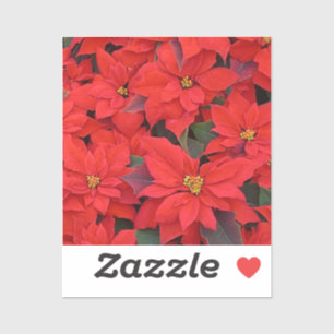 Red Poinsettias I Christmas Holiday Floral Foto Aufkleber