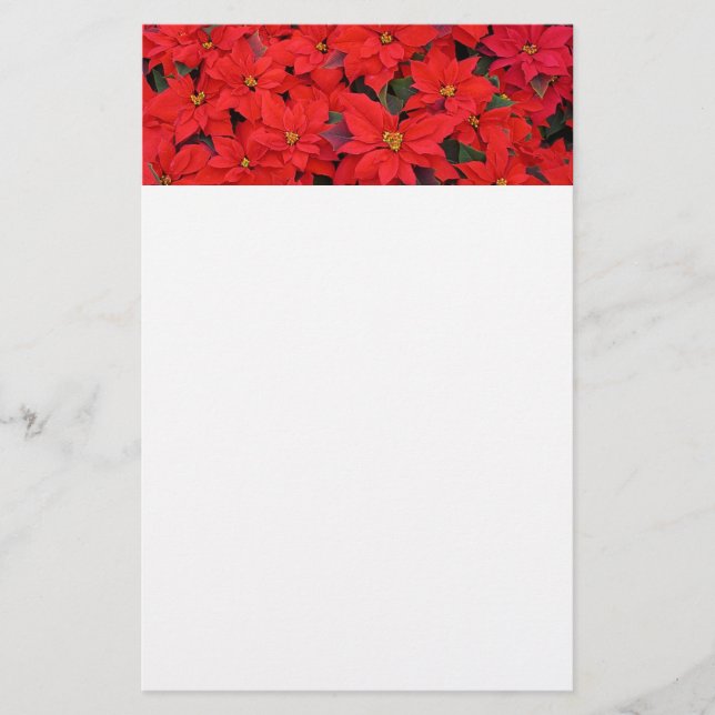 Red Poinsettias I Christmas Holiday Floral Foto Briefpapier (Vorderseite)