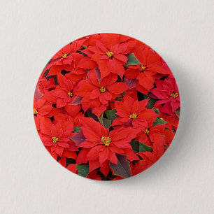 Red Poinsettias I Christmas Holiday Floral Foto Button