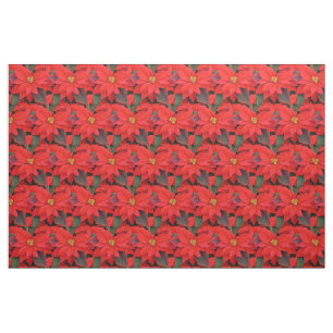 Red Poinsettias I Christmas Holiday Floral Foto Stoff