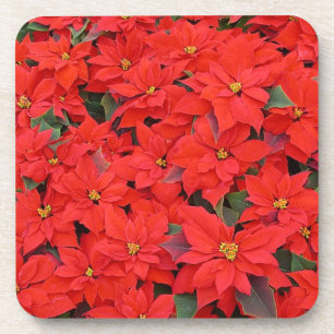 Red Poinsettias I Christmas Holiday Floral Foto Untersetzer