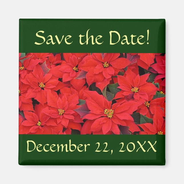Red Poinsettias I Save the Date Magnet (Vorne)