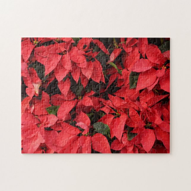 Red Poinsettias II Weihnachtsfeiertage (Horizontal)