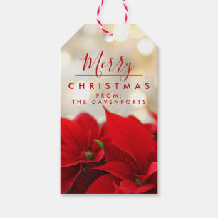 Red Poinsettias mit Golden Bokeh Weihnachten Geschenkanhänger