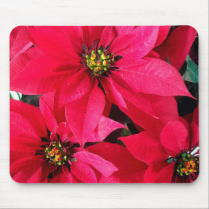 Red Poinsettias Mousepad
