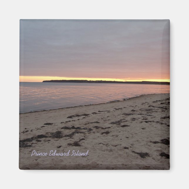 Red Point, aimant PEI (Devant)