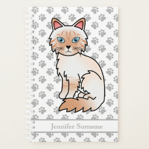 Red Point Tabby Birman/Ragdoll und Paws & Text Planer
