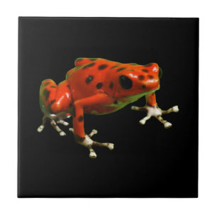 Red Poison Dart Frog Fliese