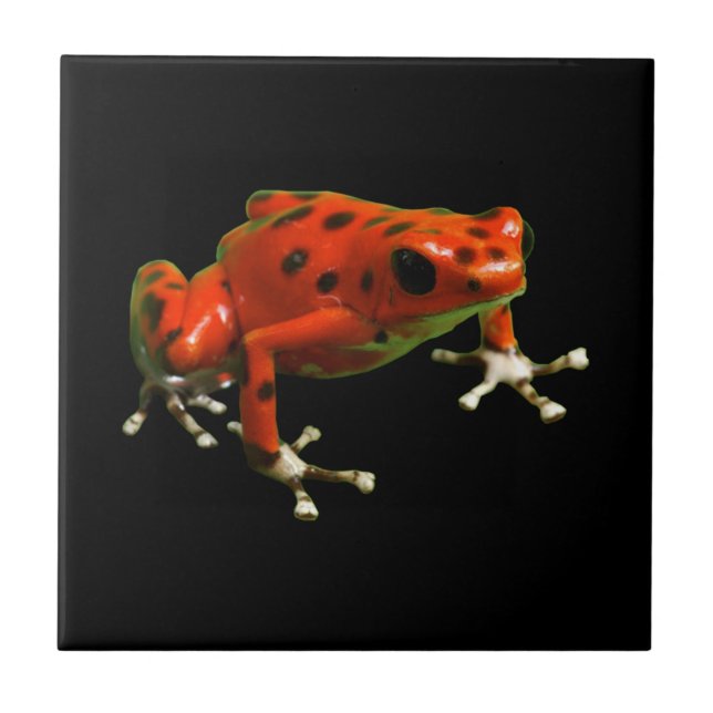 Red Poison Dart Frog Fliese (Vorderseite)