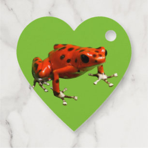 Red Poison Dart Frog Geschenkanhänger
