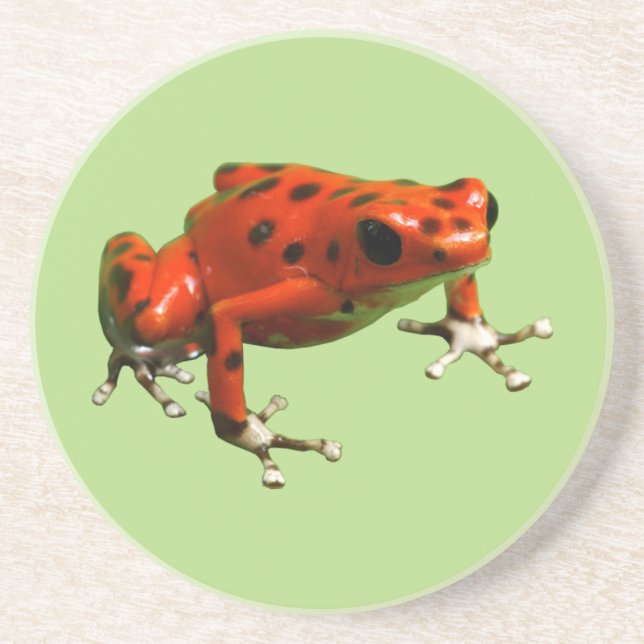 Red Poison Dart Frog Getränkeuntersetzer (Vorne)