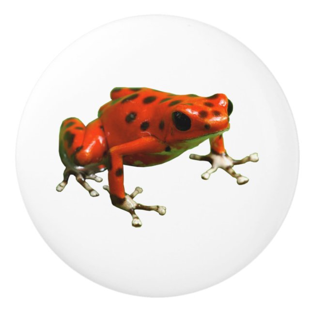 Red Poison Dart Frog Keramikknauf (Vorderseite)