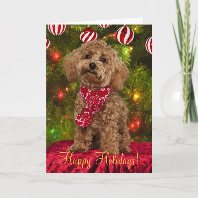 Red Poodle Weihnachtskarte Feiertagskarte (Vorderseite)