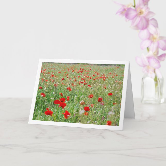 Red Poppe Blume Card Karte (Orchidee)