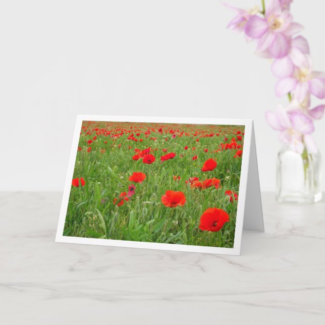 Red Poppe Blume Card Karte (Orchidee)