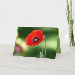 Red Poppe Samenkarte Karte