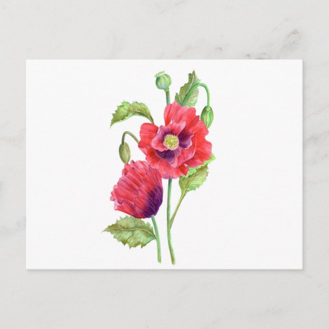 Red Poppies floral Art Postkarte (Vorderseite)