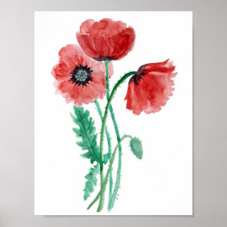 Red poppies in watercolor poster