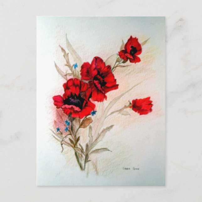 Red Poppies Postkarte (Vorderseite)