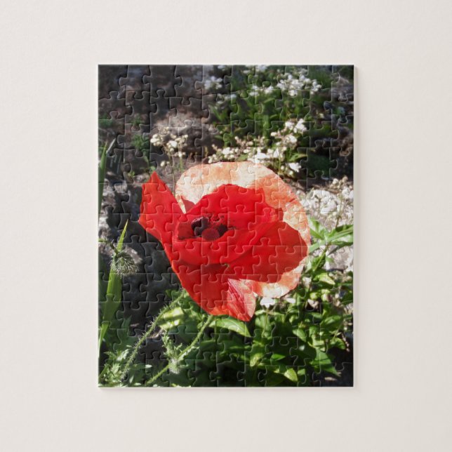 Red Poppy (Vertikal)