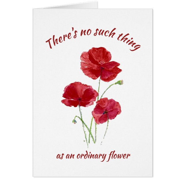 Red Poppy Blume No Ordinary Friend Birthday (Vorne)