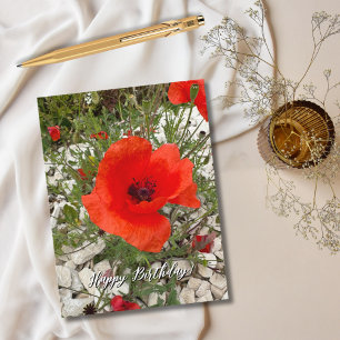 Red Poppy Blume Portugal Fotografie, Reisen Feiertagspostkarte