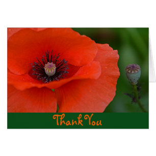 Red Poppy Dankeschön Card