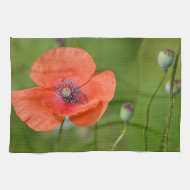 Red Poppy Dish Handtuch (Horizontal)