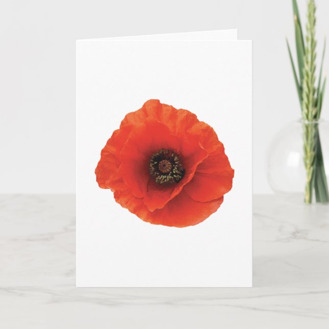 Red Poppy Karte (Vorderseite)