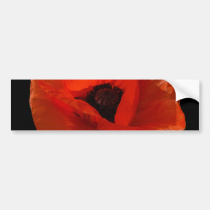 Red Poppy Macro Autoaufkleber