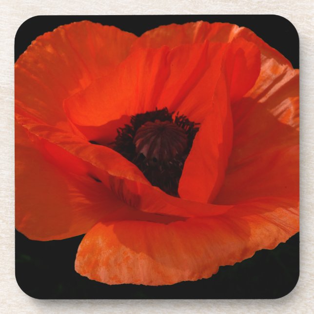 Red Poppy Macro Getränkeuntersetzer (Vorderseite)