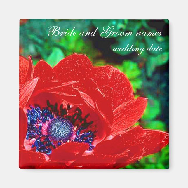 Red Poppy Magnet (Vorne)