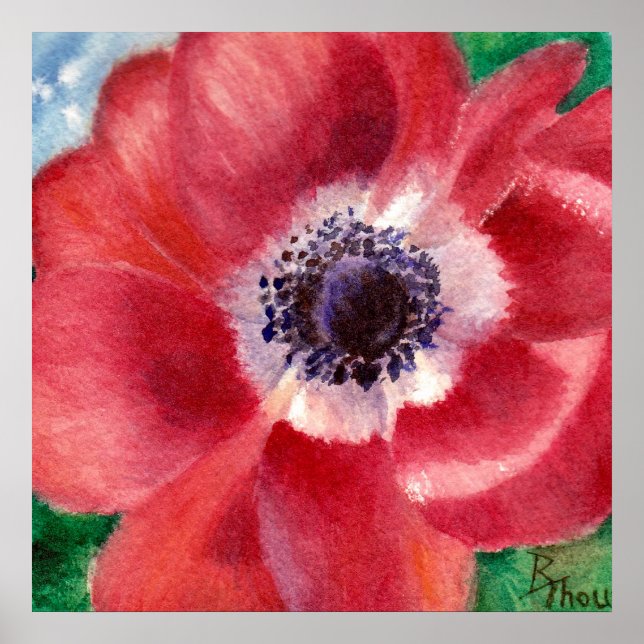 Red Poppy Poster (Vorne)