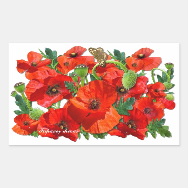 RED POPPY ~ Rectangle Stickers (Vorderseite)