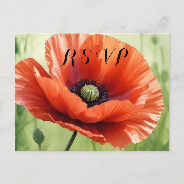 Red Poppy RSVP Postcard Einladungspostkarte (Vorderseite)