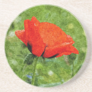 Red Poppy Sandstein Untersetzer
