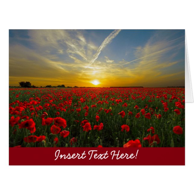Red Poppy Sunset (Vorderseite (Horizontal))