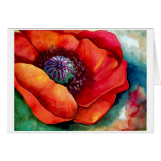 Red Poppy Up near by Barbara Beck-Azar