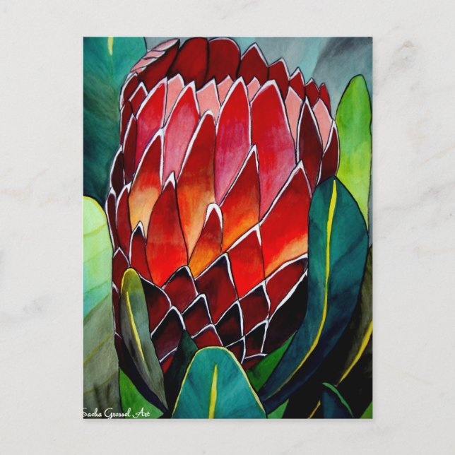 Red Protea Blume Original Aquarellkunst Postkarte (Vorderseite)