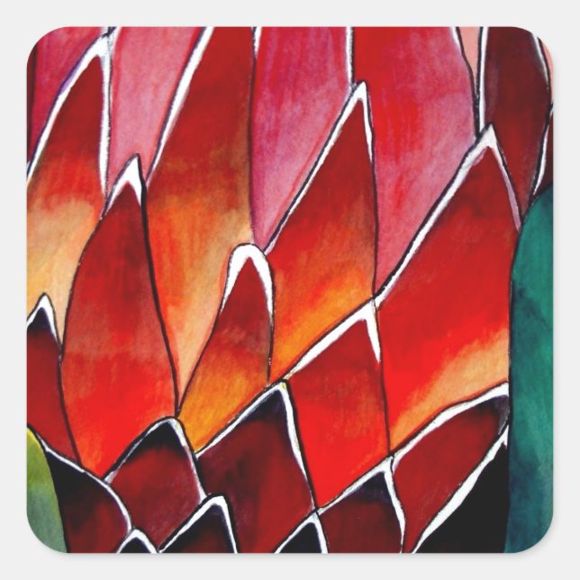 Red Protea Blume Original Aquarellkunst Quadratischer Aufkleber (Vorderseite)