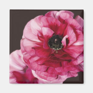 Red Ranunculus Magnet
