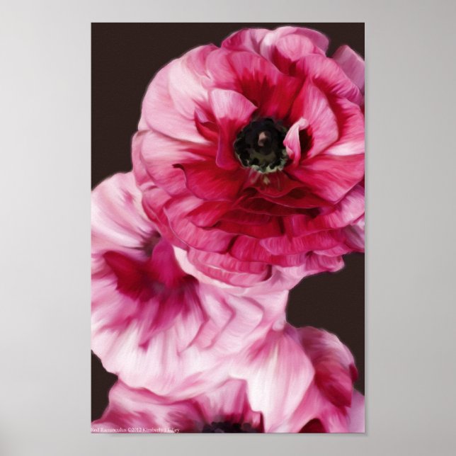 Red Ranunculus Poster (Vorne)