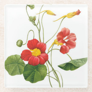 Red Redoute Blume Glass Untersetzer