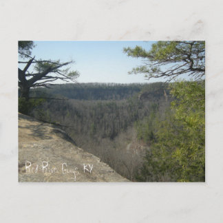 Red River Gorge, KY Postcard Postkarte