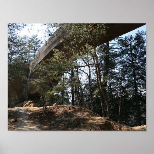 Red River Gorge, KY - Skybridge Poster (Vorne)