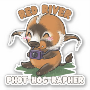Red River Hog Fotograf Aufkleber
