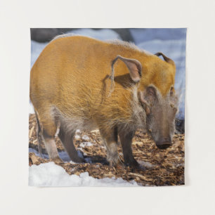 Red River Hog im Schnee Wandteppich