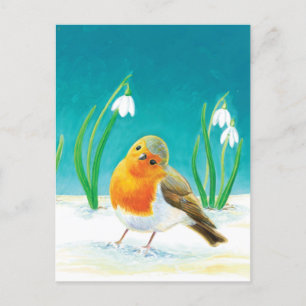 Red Robin Bird (Erithacus rubecula) & Snowdrops Postkarte