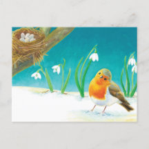 Red Robin Bird & Snowdrop Illustration