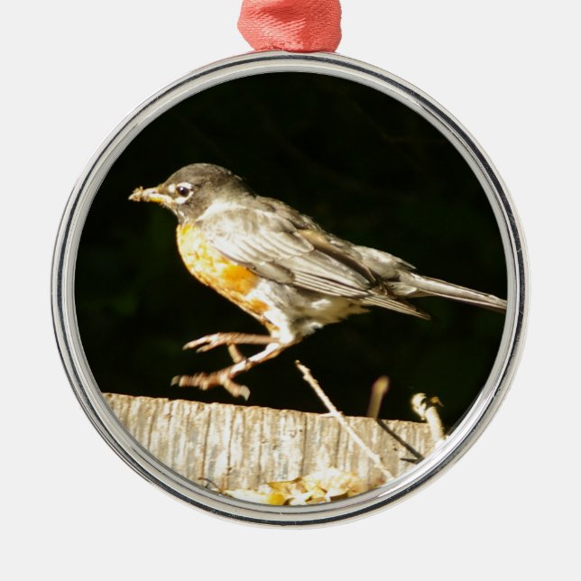 Red Robin Bobbin Ornament Aus Metall (Vorne)
